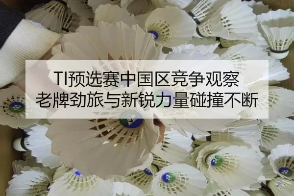 TI预选赛中国区竞争观察 老牌劲旅与新锐力量碰撞不断